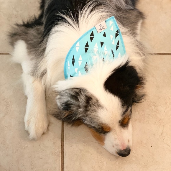 The Rosie Rue Dog Bandana! - Picture 3 of 5